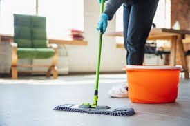 House Cleaner